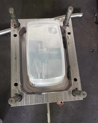 Macchina automatica di plastica dello stampaggio ad iniezione della scatola di pranzo su misura con il corridore caldo